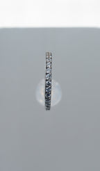 Ring 3D com zircônia - Titânio