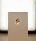 Raio de sol – Ouro 14k (Joia mexicana - Modelo único)